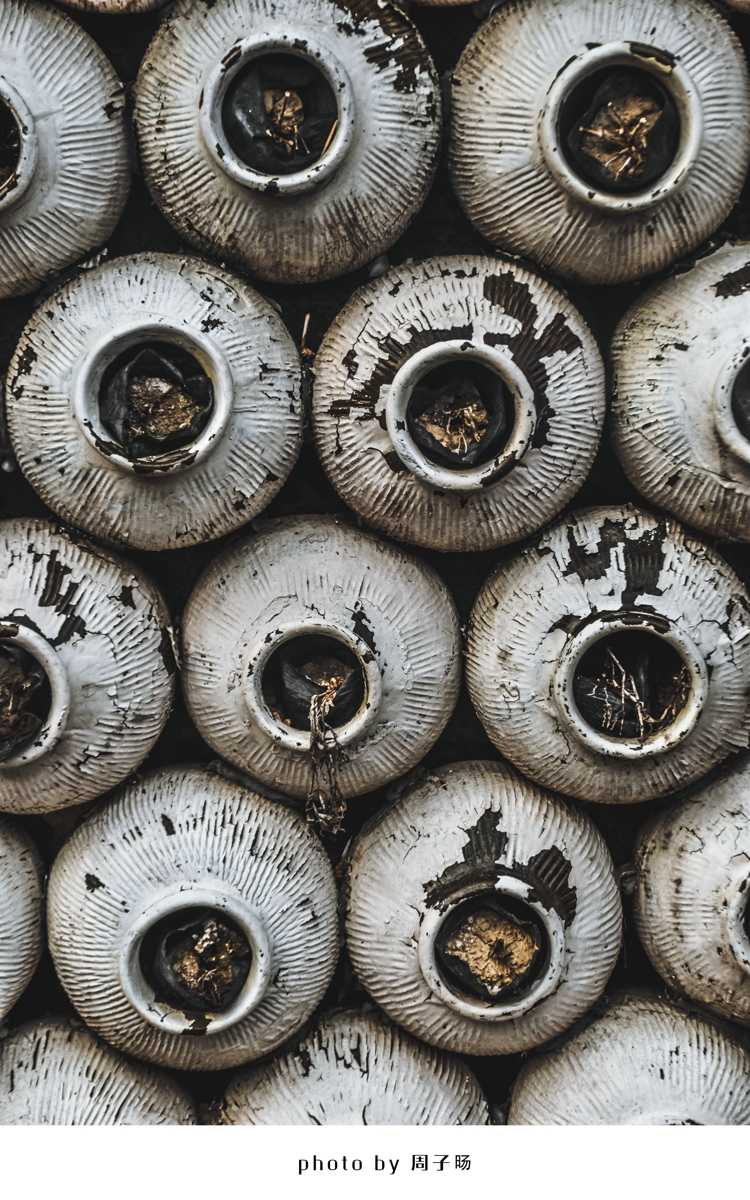 一句话点评:作者散点式构图,局部特写抓的乱中有序,非常简约大方的