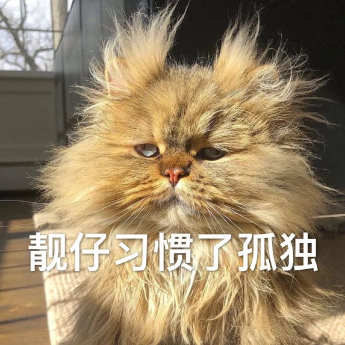 我只是随便发你看看没有催你啊别误会我妈这话说的我竟无力反驳