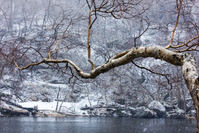 地球布丁 灰哥 | 大美! "李元摄影公益讲习班 "第二期学员作品展开展