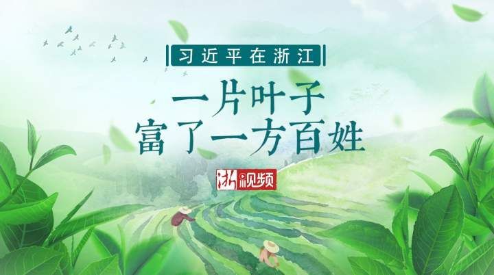 习近平在浙江 | 一片叶子  富了一方百姓 