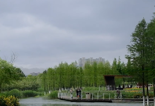 今明两天,雨水还是“似有若无” 今明两天,雨水还是“似有若无”
