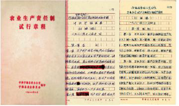 百年追梦 宁波印记(52)｜农村家庭联产承包责任制全面推行