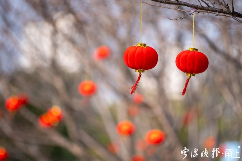 留奉过春节大礼包怎么领？快来看看