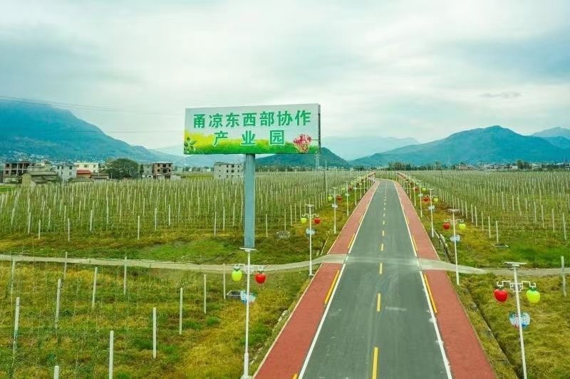 支援合作十大行动织就共富“双面绣”