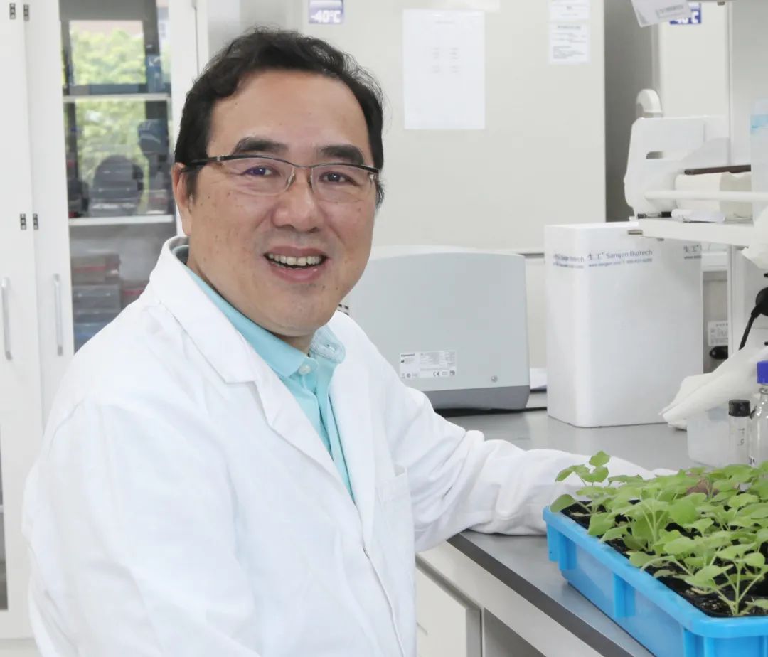 "宝藏院士"陈建平的心里话,又火了! - 宁波都市传媒网