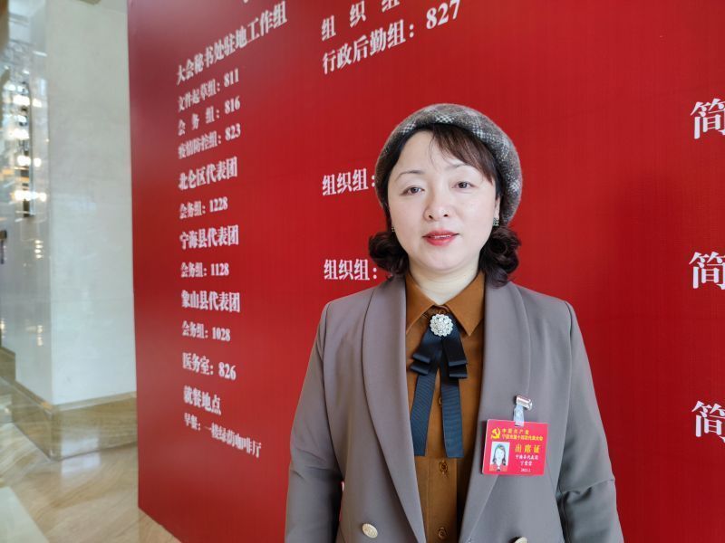 党代表风采｜丁莹莹：推动学前教育优质普惠，讲出了我们的心声