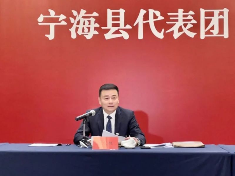汤飞帆参加宁海县代表团审议：奋力开创现代化滨海大都市建设新局面