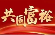 “在宁波，读懂共同富裕”案例线索征集