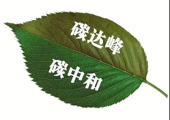 强化碳达峰碳中和，与共同富裕的目标协同