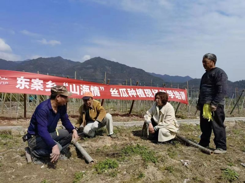 慈溪的种子、技术送到衢州常山，小小丝瓜络连起山海协作！