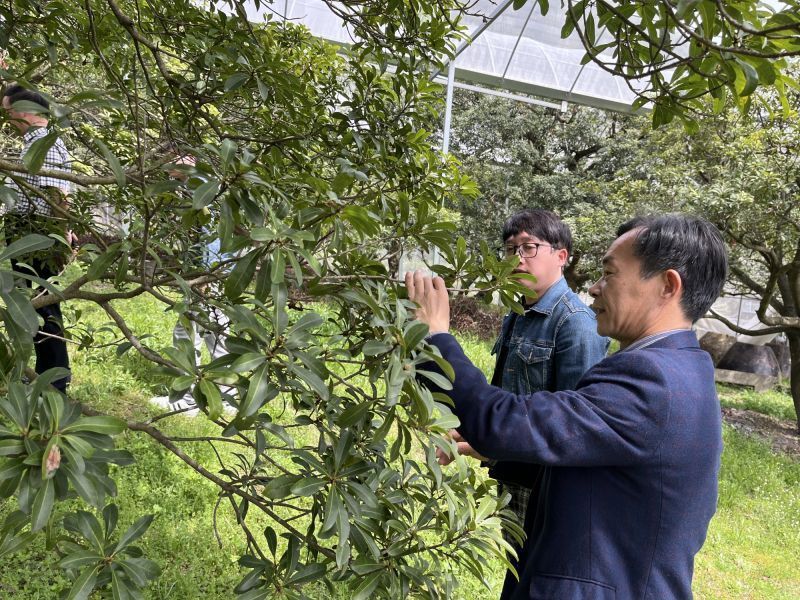 余姚这位新乡贤了不起！建造冷库、捐款修路，带领近200户梅农一起致富……