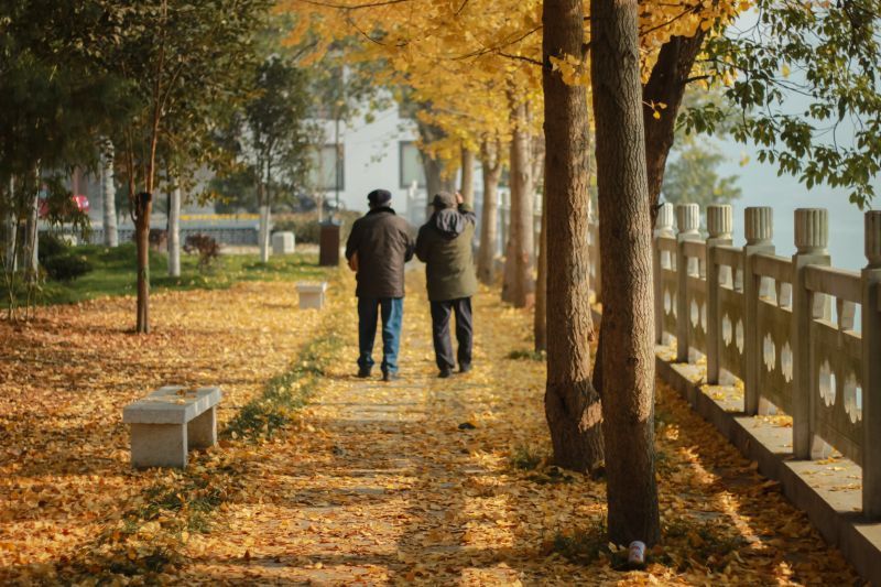 两会特别关注 | 老龄化社会，如何实现老有所养、老有所医？代表、委员围绕提升城市养老服务能力建言献策