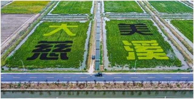 慈溪：400余名大学生新农人带动六千农户共同致富