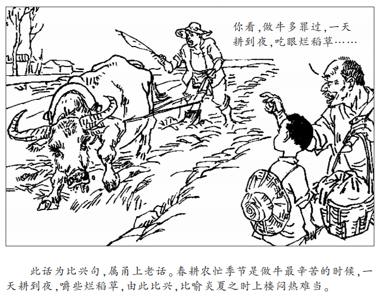 漫画宁波老话春勿做牛夏不上楼