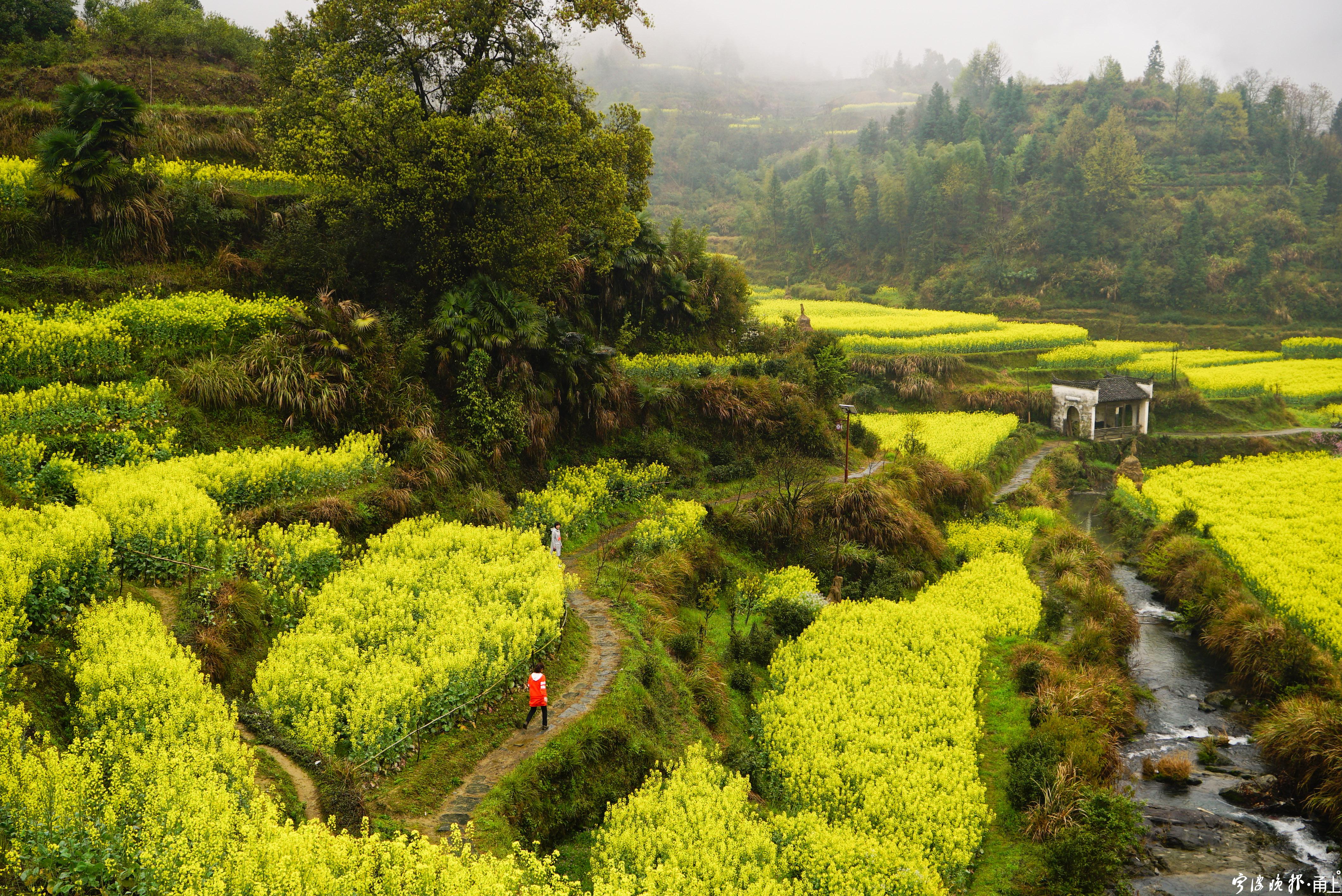 朱海华 | 镜头记录:徽州无梦之"春时"