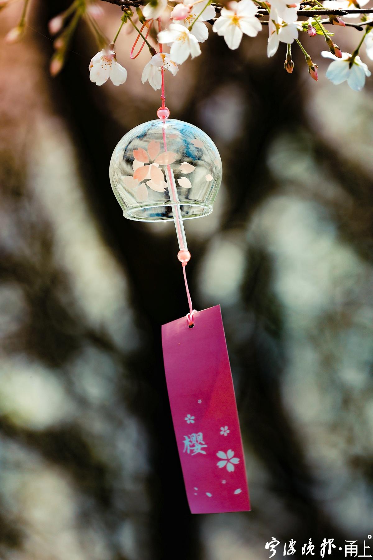 开明街不倒翁 | 上虞十里浪漫樱花谷,美到令人无法呼吸