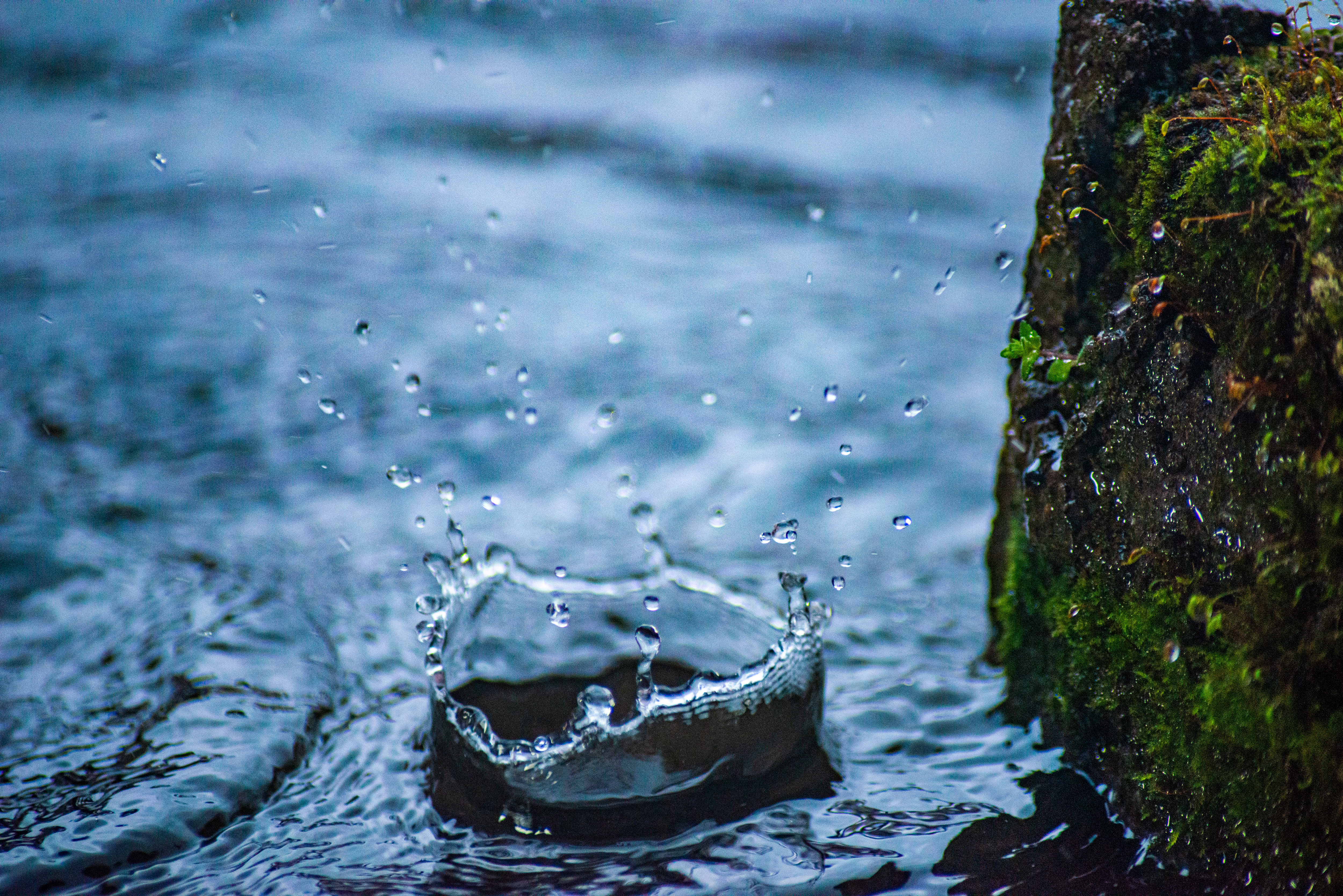 千庫網_下雨天水面水滴雨水節氣雨滴水面水花飛濺攝影圖配圖_攝影圖