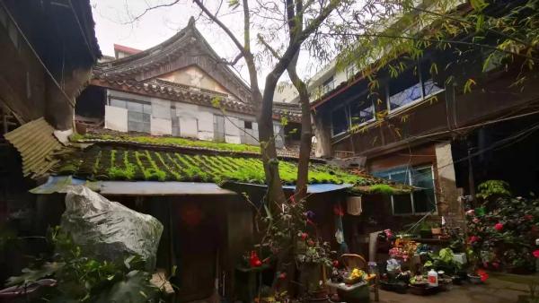宁波老城这个街区计划改造