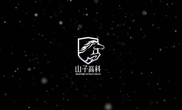 再当“白衣骑士”?网传山子高科或参与哪吒汽车重整,靠谱吗? 再当“白衣骑士”?网传山子高科或参与哪吒汽车重整,靠谱吗?